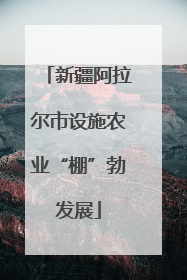新疆阿拉尔市设施农业“棚”勃发展