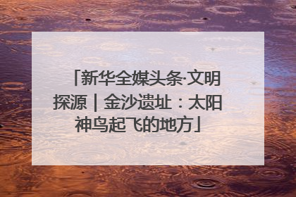 新华全媒头条·文明探源｜金沙遗址：太阳神鸟起飞的地方