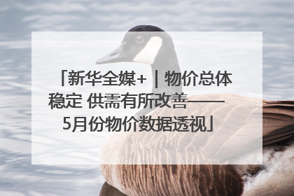 新华全媒+｜物价总体稳定 供需有所改善——5月份物价数据透视