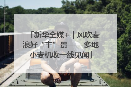 新华全媒+｜风吹麦浪好“丰”景——多地小麦机收一线见闻