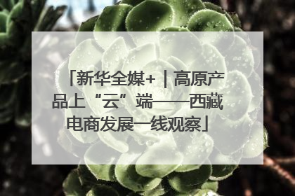 新华全媒+｜高原产品上“云”端——西藏电商发展一线观察