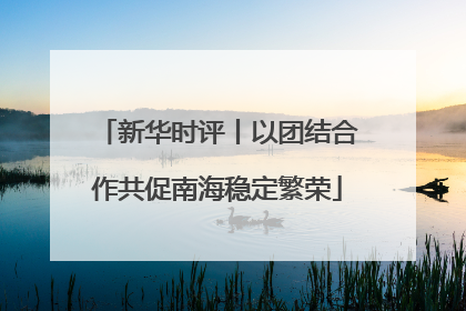 新华时评丨以团结合作共促南海稳定繁荣