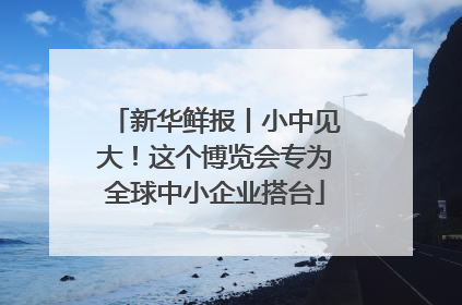 新华鲜报丨小中见大！这个博览会专为全球中小企业搭台