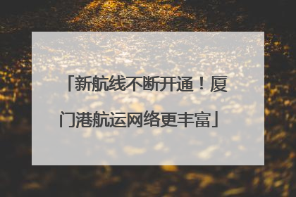新航线不断开通！厦门港航运网络更丰富