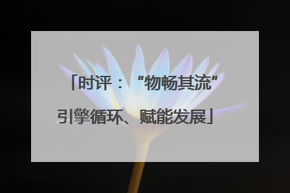时评：“物畅其流”引擎循环、赋能发展