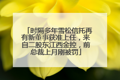 时隔多年雪松信托再有新董事获准上任，来自二股东江西金控，前总裁上月刚被罚