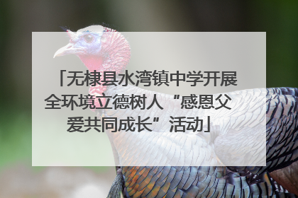 无棣县水湾镇中学开展全环境立德树人“感恩父爱共同成长”活动