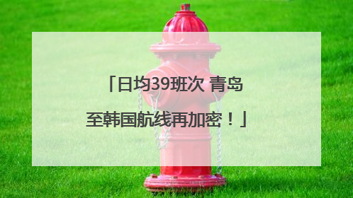 日均39班次 青岛至韩国航线再加密！