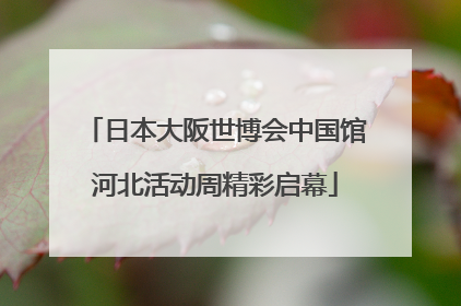日本大阪世博会中国馆河北活动周精彩启幕