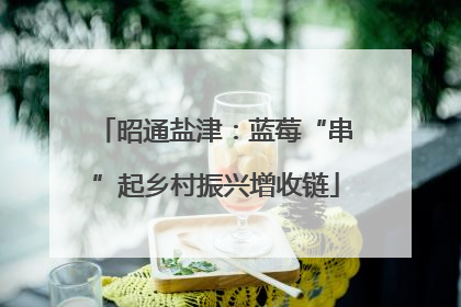 昭通盐津：蓝莓“串”起乡村振兴增收链
