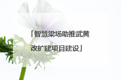 智慧梁场助推武黄改扩建项目建设