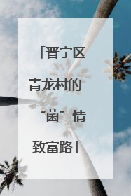 晋宁区青龙村的“菌”情致富路