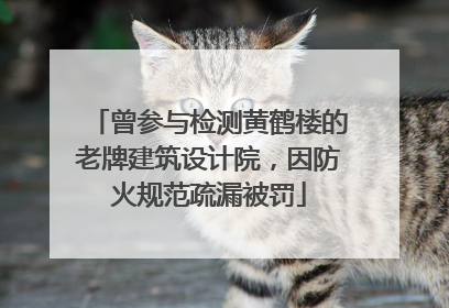 曾参与检测黄鹤楼的老牌建筑设计院，因防火规范疏漏被罚