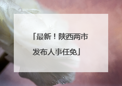 最新！陕西两市发布人事任免