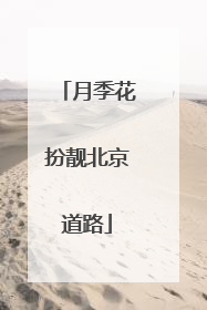 月季花扮靓北京道路