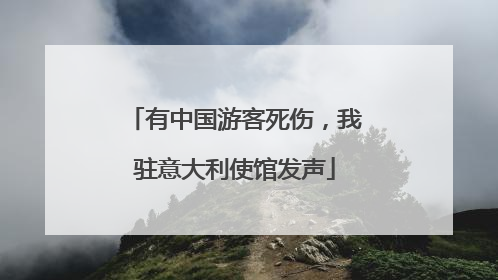 有中国游客死伤，我驻意大利使馆发声