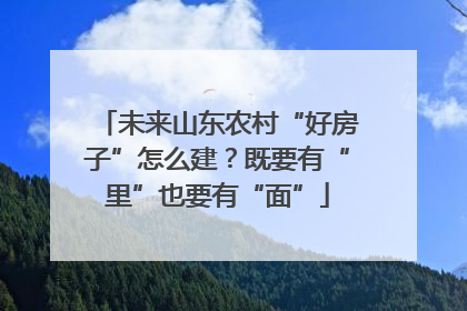 未来山东农村“好房子”怎么建？既要有“里”也要有“面”