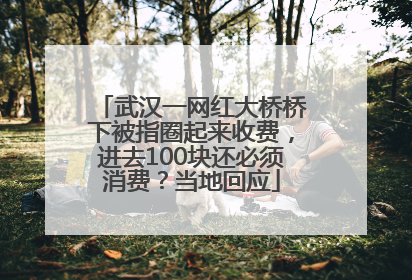 武汉一网红大桥桥下被指圈起来收费，进去100块还必须消费？当地回应