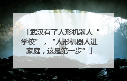 武汉有了人形机器人“学校”，“人形机器人进家庭，这是第一步”