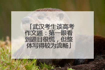 武汉考生谈高考作文题：第一眼看到题目很慌，但整体写得较为流畅