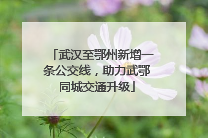 武汉至鄂州新增一条公交线，助力武鄂同城交通升级