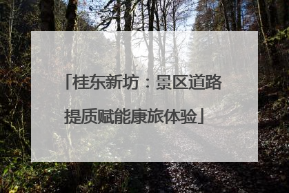桂东新坊：景区道路提质赋能康旅体验