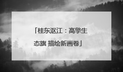 桂东沤江：高擎生态旗 描绘新画卷