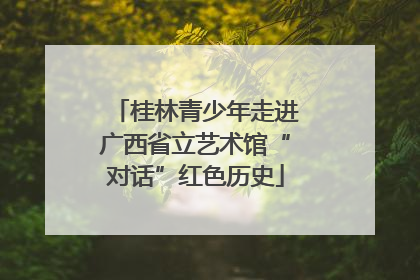 桂林青少年走进广西省立艺术馆“对话”红色历史