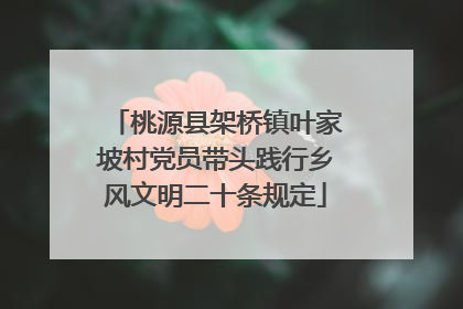 桃源县架桥镇叶家坡村党员带头践行乡风文明二十条规定