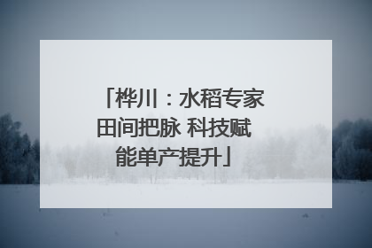 桦川：水稻专家田间把脉 科技赋能单产提升