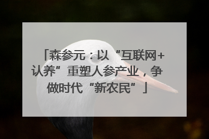 森参元：以“互联网+认养”重塑人参产业，争做时代“新农民”