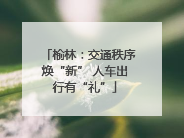 榆林：交通秩序焕“新” 人车出行有“礼”