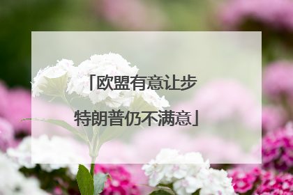 欧盟有意让步 特朗普仍不满意