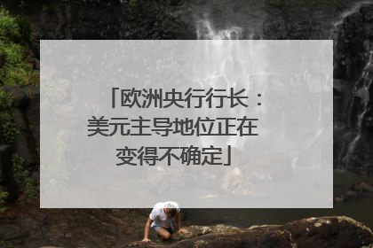 欧洲央行行长：美元主导地位正在变得不确定