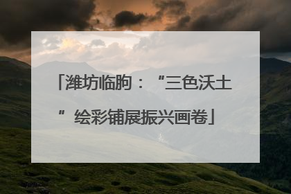 潍坊临朐：“三色沃土”绘彩铺展振兴画卷