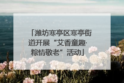 潍坊寒亭区寒亭街道开展“艾香童趣·粽情敬老”活动