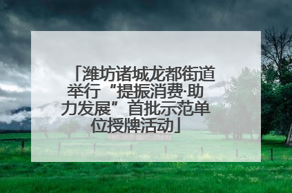 潍坊诸城龙都街道举行“提振消费·助力发展”首批示范单位授牌活动