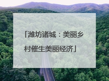 潍坊诸城：美丽乡村催生美丽经济