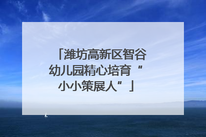 潍坊高新区智谷幼儿园精心培育“小小策展人”