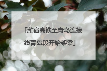 潍宿高铁至青岛连接线青岛段开始架梁