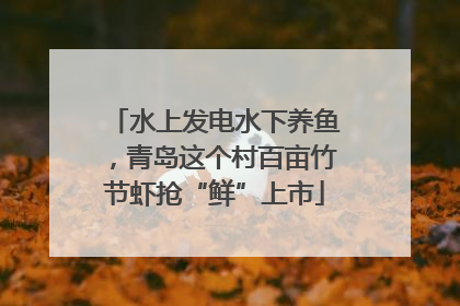 水上发电水下养鱼，青岛这个村百亩竹节虾抢“鲜”上市