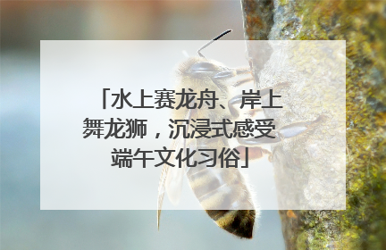 水上赛龙舟、岸上舞龙狮，沉浸式感受端午文化习俗