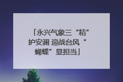 永兴气象三“精”护安澜 迎战台风“蝴蝶”显担当