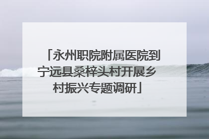 永州职院附属医院到宁远县桑梓头村开展乡村振兴专题调研