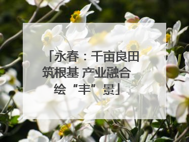 永春：千亩良田筑根基 产业融合绘“丰”景