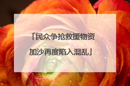 民众争抢救援物资 加沙再度陷入混乱