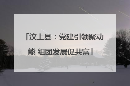 汶上县：党建引领聚动能 组团发展促共富