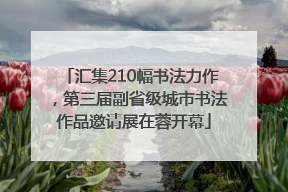 汇集210幅书法力作，第三届副省级城市书法作品邀请展在蓉开幕