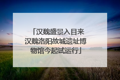 汉魏盛景入目来 汉魏洛阳故城遗址博物馆今起试运行