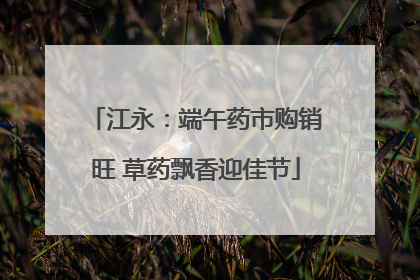 江永：端午药市购销旺 草药飘香迎佳节
